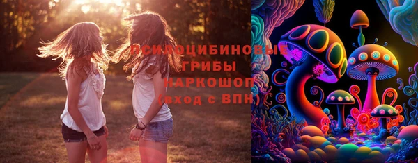 эйфоретик Богородицк