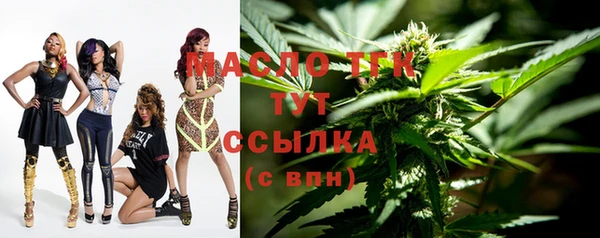 дживик Бородино