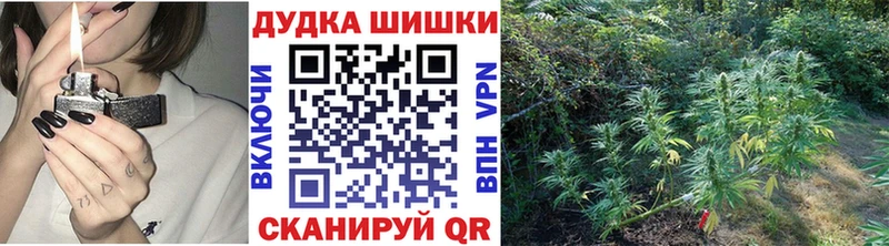 где можно купить наркотик  Новоузенск  Канабис индика 